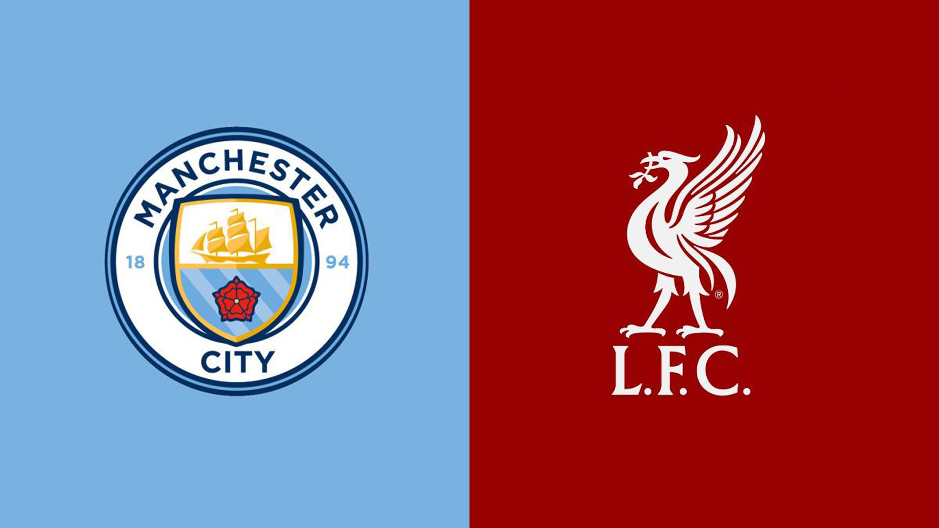 迷的目光 迷的目光